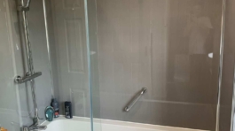 Contemporary Bathroom 1