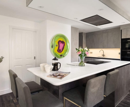 Contemporary kitchen rectangle 2