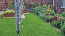 Artificial Grass