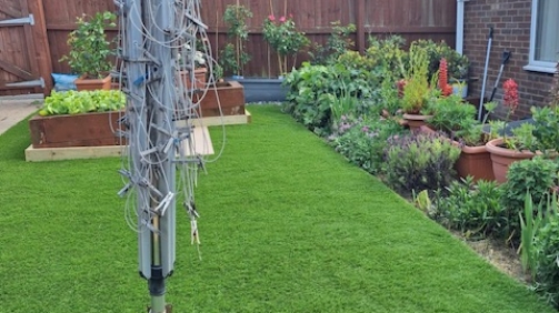 Artificial Grass