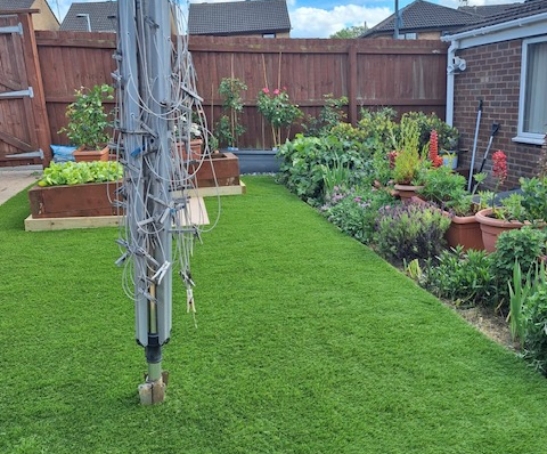 Artificial Grass
