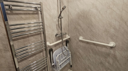 Limited Mobility Shower