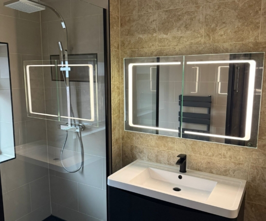 Niche Shower Bathroom